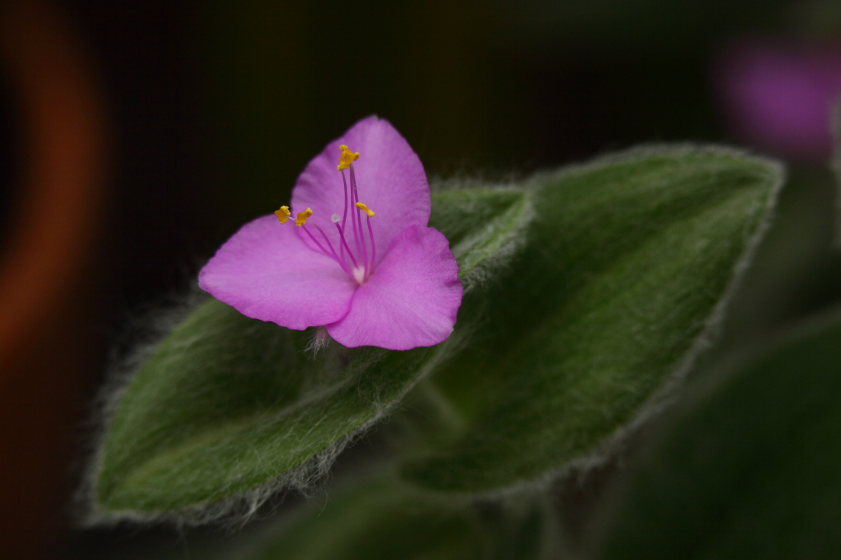 2013 09 18 HTP 08112